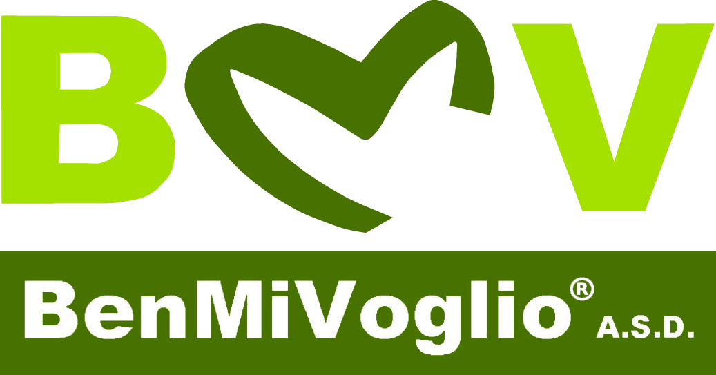 logo BMV 2017